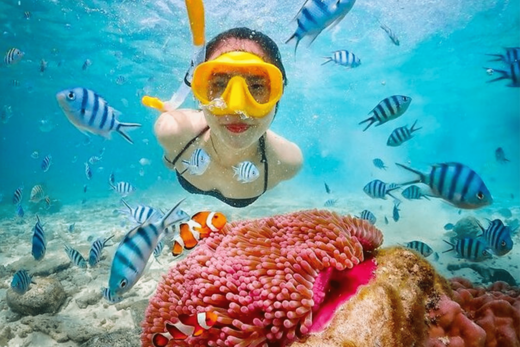 snorkeling